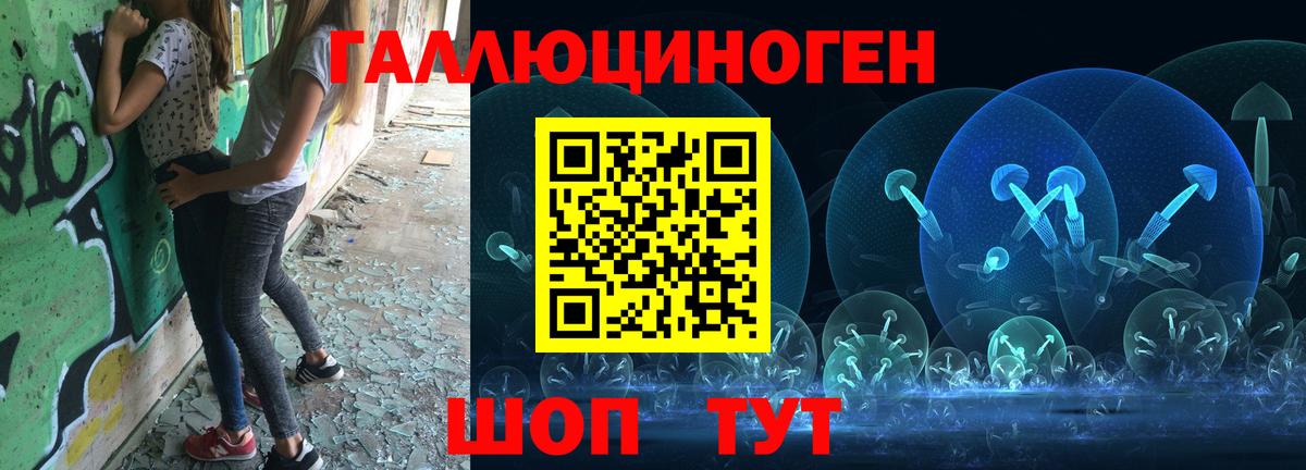 Арсеньев  Галлюциногенные грибы Cubensis  Вход с VPN 